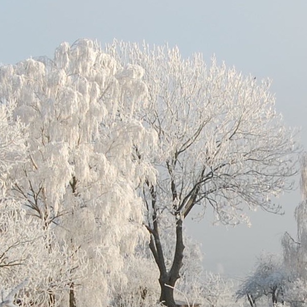 Und dann der Winter