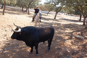 Reservatauro Ronda