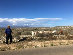 Cabo de Gata-nijar